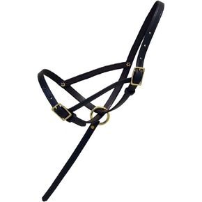 Coronet Halter – Leather Foal Slip with Grab Strap