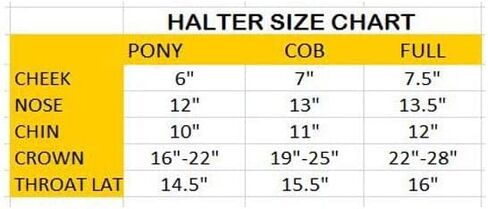 DD Leather Plain Raised Padded Horse Halter | Handcrafted & Adjustable Chin and Throat Snap Halter | Comfortable & Features The Raised Crown and Padded Nose in Kuwait