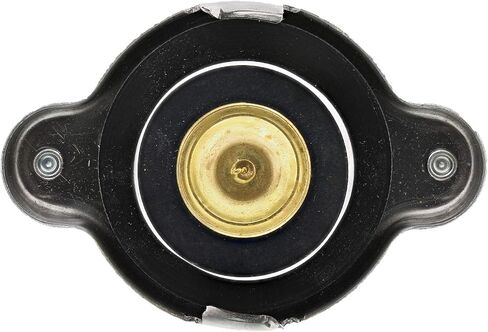 Stant Radiator Cap, black in Saudi Arabia