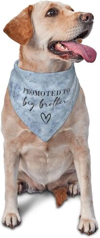 تمت ترقيته إلى Big Brother Dog Bandana Gender Reveal Dog Bandana Reversible، ملحقات دعائم الصور، هدية لمالك محبي الكلاب (Teinture cravate-Blue) in Saudi Arabia