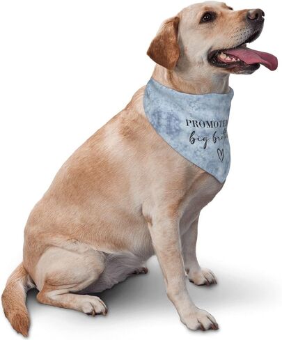 تمت ترقيته إلى Big Brother Dog Bandana Gender Reveal Dog Bandana Reversible، ملحقات دعائم الصور، هدية لمالك محبي الكلاب (Teinture cravate-Blue) in Saudi Arabia