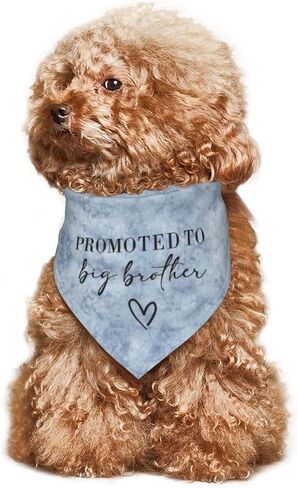 تمت ترقيته إلى Big Brother Dog Bandana Gender Reveal Dog Bandana Reversible، ملحقات دعائم الصور، هدية لمالك محبي الكلاب (Teinture cravate-Blue) in Saudi Arabia