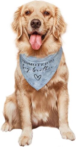 تمت ترقيته إلى Big Brother Dog Bandana Gender Reveal Dog Bandana Reversible، ملحقات دعائم الصور، هدية لمالك محبي الكلاب (Teinture cravate-Blue) in Saudi Arabia