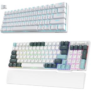 RK ROYAL KLUDGE RK61 Blue Switch White & RK96 LMT Camp Green Bundle