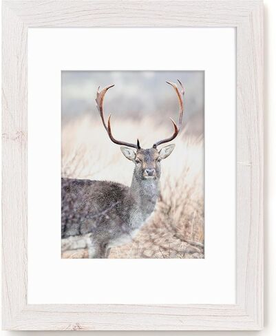 8x10 Picture Frame-Real Tempered Glass, Solid Wood Photo Frame 8x10, Display Pictures 5x7 with Mat or 8x10 Without Mat, 8x10 Picture Frame for Wall or Tabletop, Grey, 1 Pack in Kuwait