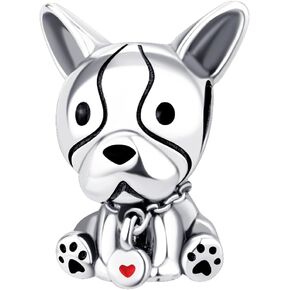 HappyStar Charm Bead fits Charms Bracelets Necklace European Jewelry ，925 Sterling Silver Dangle Pendant Bead for Woman Jewelry Beads Gifts （With one Spacer Bead Charms