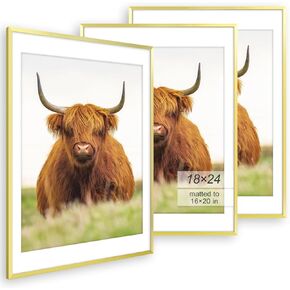 Golden State Art, 11x14 Picture Frame Set of 3, Black Thin Border Photo Frame, Display Pictures 8x10 with Mat or 11x14 Without Mat, Black Frame for Wall Hanging Horizontal and Vertical