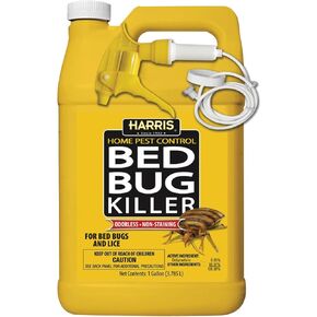 Bed Bug Killer Gal