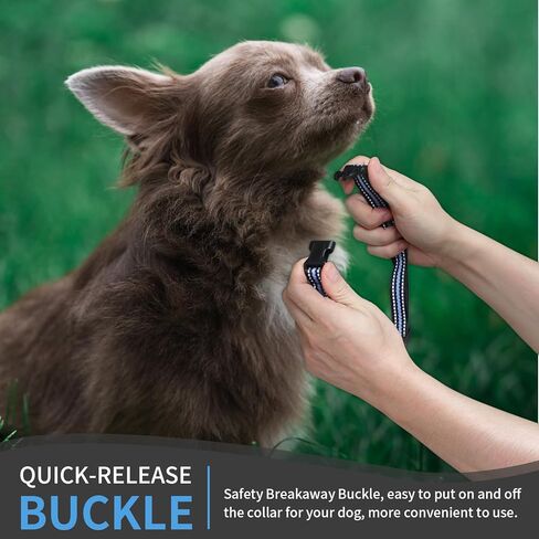 طوق بديل لطوق الصدمات، عبوتان من طوق الكلاب المريح والمتين لعيد الميلاد للكلاب الصغيرة والمتوسطة والكبيرة مع مشبك أمان سريع التحرير للكلاب الصبية والبنات (أخضر وأحمر) in Kuwait