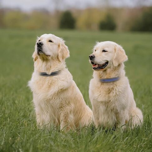 طوق بديل لطوق الصدمات، عبوتان من طوق الكلاب المريح والمتين لعيد الميلاد للكلاب الصغيرة والمتوسطة والكبيرة مع مشبك أمان سريع التحرير للكلاب الصبية والبنات (أخضر وأحمر) in Kuwait