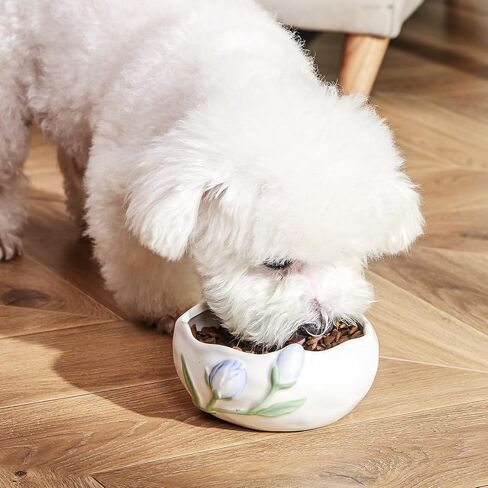 Astronaut Helmet Ceramic Pet Bowl - 19.6oz Capacity, Spill-Proof, Microwave & Dishwasher Safe - Ideal for Small Dogs, Cats, and Pet Rodents - Perfect Cat Bowls and Dog Bowls in Saudi Arabia