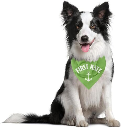 First Mate Dog Bandana, Dog Boat Accessories, Dog Matching Dog Bandanas, Dog Apparel & Accessories, Funny Dog Bandana, Dog Triangle Scarf, Dog Bandana for Small Medium Dogs (D51) in Saudi Arabia