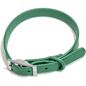 Wild One Collar - Small - Spruce