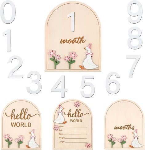 2 PCS Baby Baby Monthly Milestone Cards with Pink Bow Wooden Monthly Discs Discs Coquette Discs لتوثيق هدية النمو حديثي الولادة لفتاة وبوي (جولة) in Kuwait