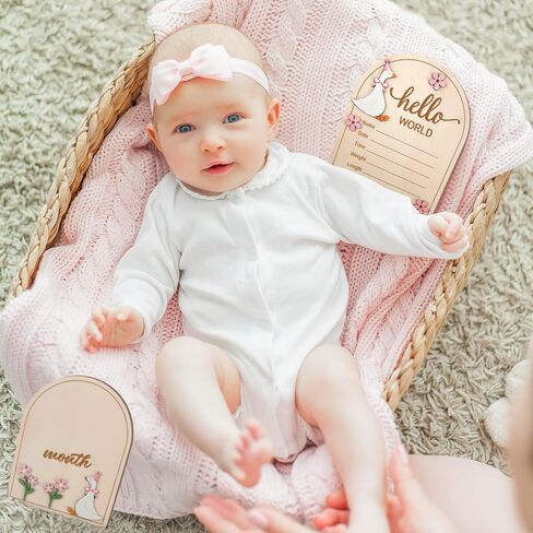 Colingmill 2 Pcs Monthly Baby Milestone Signs Cards with Pink Bow Wooden Coquette Discs Newborn Photography Props to Document Your Baby's Growth 1-12 Newborn Gift for Girl and Boy(Silly Goose) in Saudi Arabia