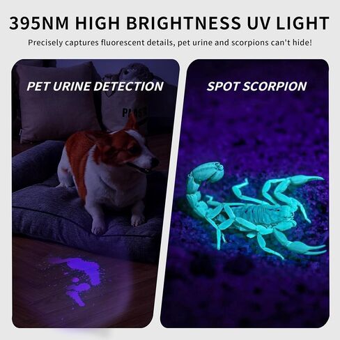 Black Light UV Light, 395nm Mini Powerful Rechargeable UV Flashlight, USB-C Ultraviolet Blacklight Flashlight, Portable Pet Urine Detector for Resin Curing, Uranium Glass, Rocks, Scorpion in Saudi Arabia