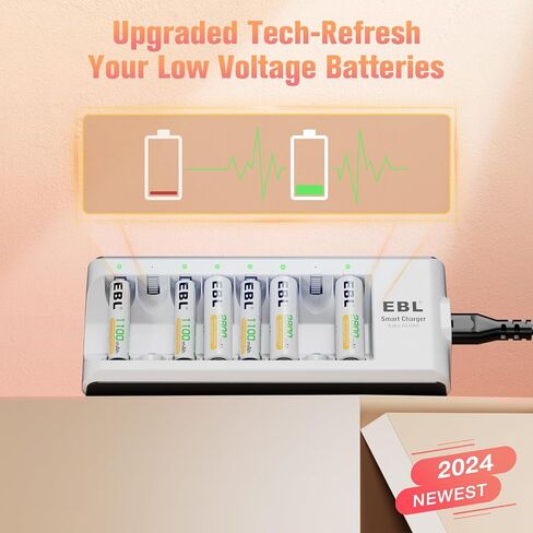 EBL AAA Rechargeable Batteries, 8 Pack Precharged AAA Batteries 1.2V 1100mAh with AA AAA Battery Charger in Saudi Arabia