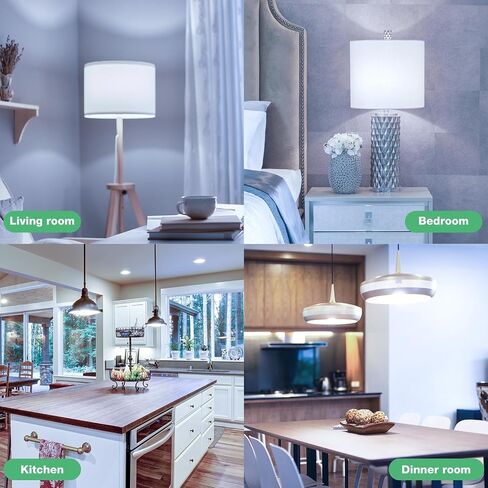LED Light Bulbs, 100 Watt Equivalent LED Bulbs A19, 5000K Daylight, E26 Standard Base, 1500 Lumens, Non-Dimmable, 13W Bright White E26 Bulbs for Bedroom Home Office, 24 Pack in Saudi Arabia