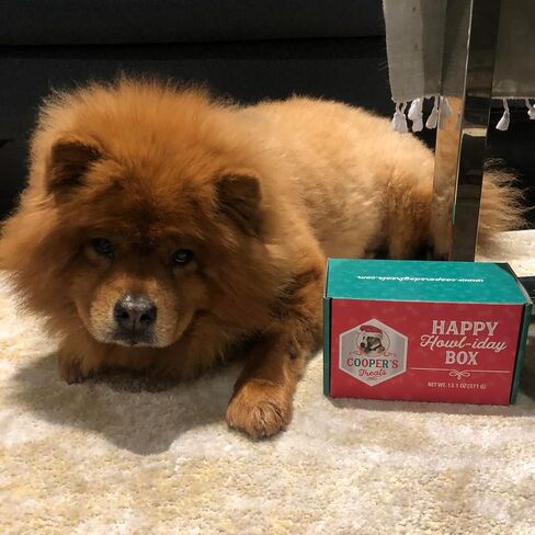 Cooper's Treats Doggie Deluxe Box - Make-at-Home Dog Treat Kit (Contains Four Jars of Treat Mix for Both Frozen and Baked Treats, Plus Lots More Goodies - The Perfect Dog Gift Box!) in Saudi Arabia