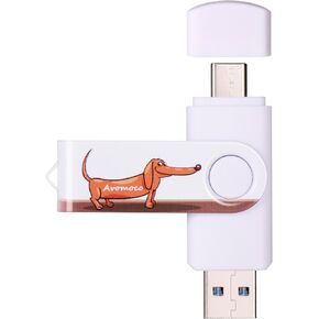 256GB Super High Speed Photo Backup Stick for Cell Phones with Type C/USB C Port,Compliant with iPhone15&Samsung, LG,Google,Hua Wei,Moto, one Plus.etc.