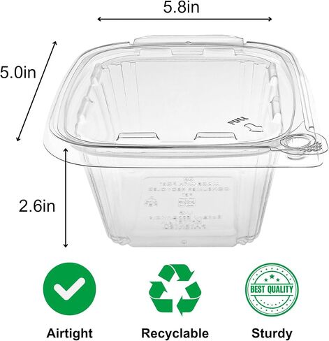 20 oz RPET Clear Hinged Lid Tamper Evident Container – 200 Pcs for Fruit, Dessert, Cookies, Snacks, For Take Out and Retail in Saudi Arabia