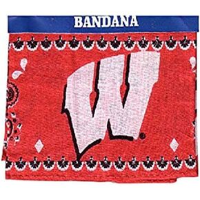 Gameday Outfitters NCAA Wisconsin Badgers Traditional Bandana, One Size, Multicolor