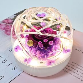 QUELIEN Valentine Rose Flower Gifts for her,Birthday Gifts for Women,Preserved Rose with Led Light for Christmas Valentine's Day Anniversary Birthday Mother's Day Wedding(pink)