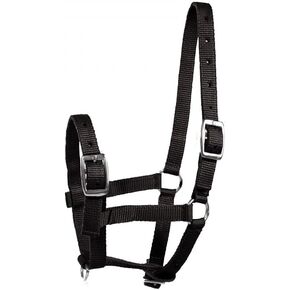 HORZE Adjustable Horse Halter for Foals, Colts, Fillies, Miniature Horses