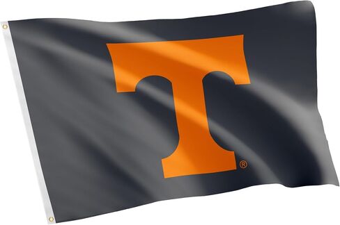 Desert Cactus University of Tennessee Flag Knoxville Volunteers Vols UT Flags Banners 100% Polyester Indoor Outdoor 3x5 (Design Y) in Saudi Arabia