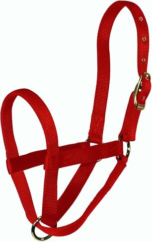 Hamilton Calf Turn Out Halter, 1-Inch, Red in Saudi Arabia