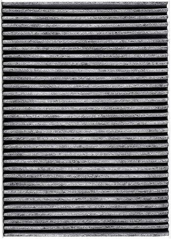 Spearhead Odor Defense Breathe Easy AC & Heater Cabin Filter | Fits 2014-20 Rogue, 2017-22 Rogue Sport Like OEM | Up to 25% Longer Lasting w/Activated Carbon (BE-854) in Saudi Arabia