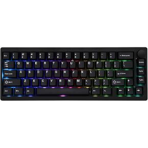 EPOMAKER P65 QMK/VIA Wireless Aluminum Gaming Keyboard, Gasket-Mount, Bluetooth/2.4Ghz/USB(A to C), Hot Swappable, N-Key Rollover, for Mac/PC/PS/Xbox (Black, Zebra Switch)