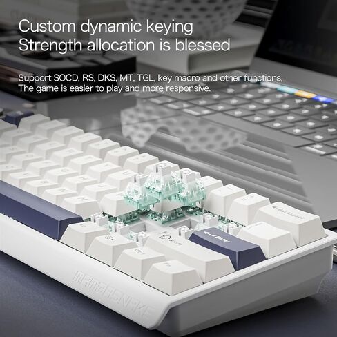 ATTACK SHARK MAMBASNAKE X60HE Rapid Trigger Magnetic Switch 60% RGB Wireless Mechanical Gaming keyboard,2.4Ghz/BT/Wired,8KHZ Polling Rate,0.01mm Adjustable Actuation,Web Driver for Win/Mac(Star White) in Kuwait