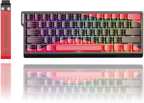 ATTACK SHARK MAMBASNAKE X60HE Rapid Trigger Magnetic Switch 60% RGB Wireless Mechanical Gaming keyboard,2.4Ghz/BT/Wired,8KHZ Polling Rate,0.01mm Adjustable Actuation,Web Driver for Win/Mac(Star White) in Saudi Arabia