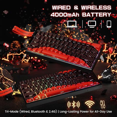 ATTACK SHARK MAMBASNAKE X60HE Rapid Trigger Magnetic Switch 60% RGB Wireless Mechanical Gaming keyboard,2.4Ghz/BT/Wired,8KHZ Polling Rate,0.01mm Adjustable Actuation,Web Driver for Win/Mac(Star White) in Saudi Arabia