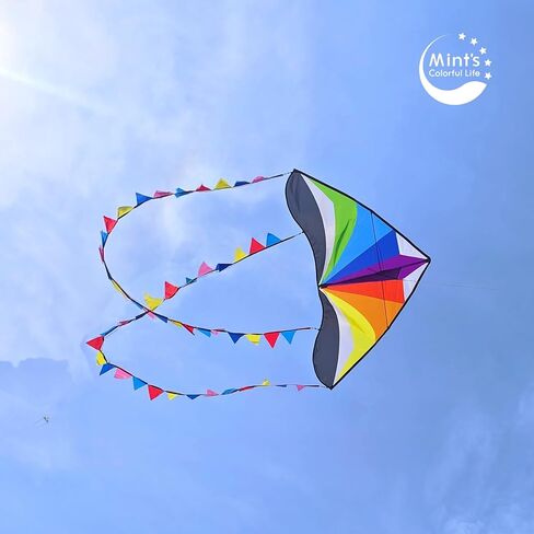 Mint's Colorful Life Rainbow Delta Kite with Long Tails, Extremely Easy to Fly Kite for Beginners in Saudi Arabia