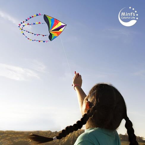 طائرة ورقية بألوان قوس قزح من مينت بذيول طويلة، طائرة ورقية سهلة للغاية للمبتدئين in Kuwait