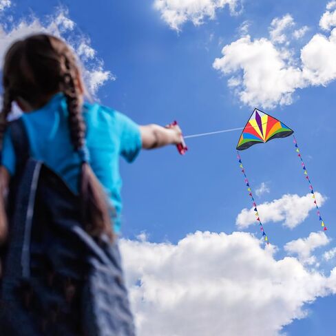 طائرة ورقية بألوان قوس قزح من مينت بذيول طويلة، طائرة ورقية سهلة للغاية للمبتدئين in Kuwait