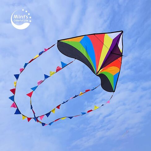 طائرة ورقية بألوان قوس قزح من مينت بذيول طويلة، طائرة ورقية سهلة للغاية للمبتدئين in Kuwait