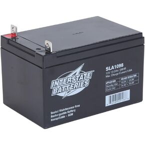Interstate Batteries 12V 12AH Battery (Nut & Bolt Terminal) SLA AGM VRLA Rechargeable Replacement for Lawn & Garden (SLA1098)