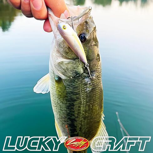 Lucky Craft Sammy 65 ، Freshwater Lake Bass Bass Fishing Exprice ، Topwater ، Smallmouth ، Floating ، الفوز بالبطولة ، المشي الكمال الكلب ، معدات الصيد ، إكسسوارات الصيد ، صيد الأسماك in Kuwait