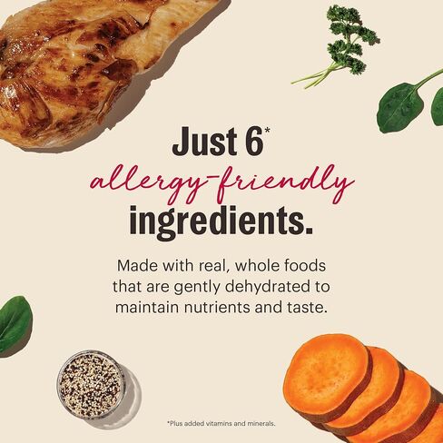 The Honest Kitchen Wholemade 6 Ingredient Grain Free Fish Recipe, Human Grade Dehydrated Dog Food, Allergy Friendly, Digestion Support, Topper for Dry or Wet Dog Food, 10 lb Box Makes 40 lbs in Kuwait
