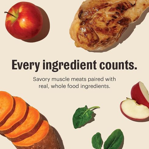 The Honest Kitchen Human Grade Wet Dog Food (Pack of 4) in Kuwait