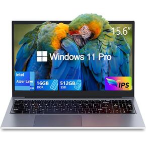 Windows 11 Laptop,Gaming Laptop,N100(UP to 3.4Ghz) 16GB DDR4 512GB SSD,15.6" FHD 1920 * 1080P, Full Metal Housing,WiFi,BT,USB3.2.Support Type C Charging,180°Open Angle,for Office,Gaming,Moving,Gray