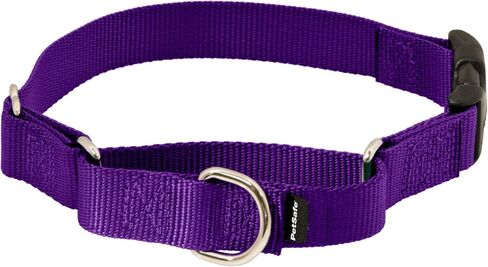 PetSafe Martingale Dog Collar with Quick-Snap Buckle - Medium, 1 Inch, Red in Kuwait