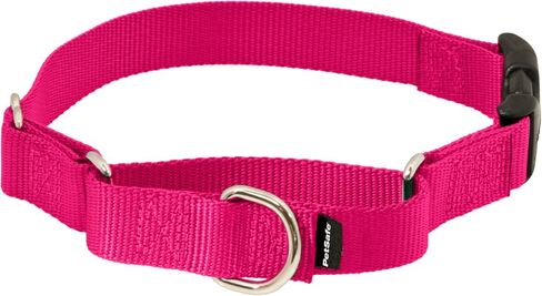 PetSafe Martingale Dog Collar with Quick-Snap Buckle - Medium, 1 Inch, Red in Kuwait