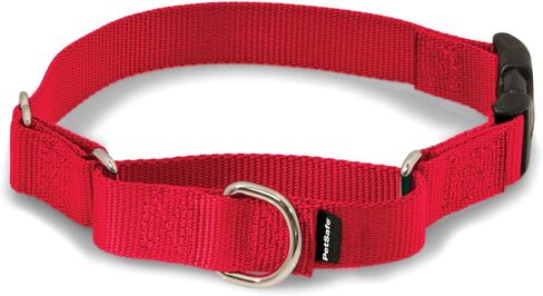 PetSafe Martingale Dog Collar with Quick-Snap Buckle - Medium, 1 Inch, Red in Kuwait