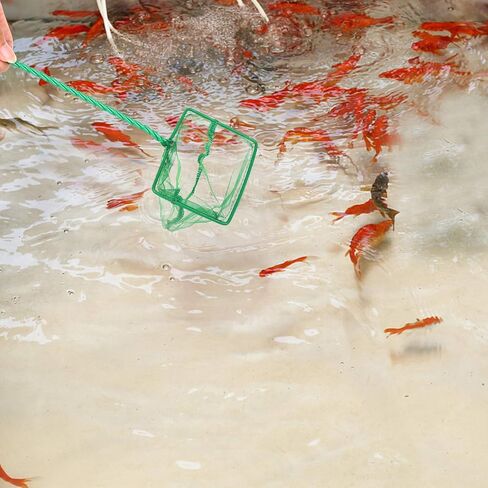 3in 4in 6in Aquarium Fish Net Fine Mesh Net Quick Catch Nets Nylon Fishing Nets with Long Plastic Handle for Fish Tank, Green in Kuwait