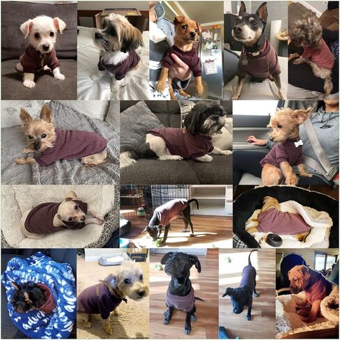 Jecikelon Dog Clothes Dogs Sweater Soft Puppies Clothing Winter Puppy Sweaters Warm Outfit for Dogs Small XXS XS Cat Apparel (Pink, S) in Kuwait