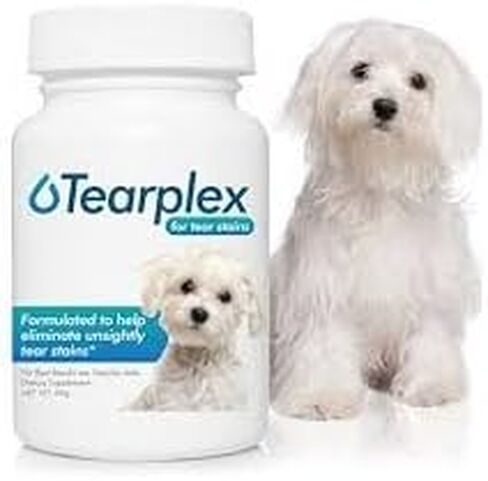 tearplex Tear Stain Supplement for Dogs and Cats, 1 Rated Natural Tear Stain Product - Made in The USA, 100% Tylosin Free, Veterinarian Trusted - Beef Flavored in Kuwait